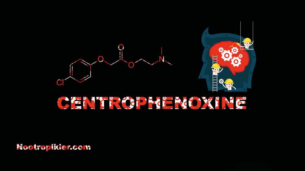 Centrophenoxine nedir?