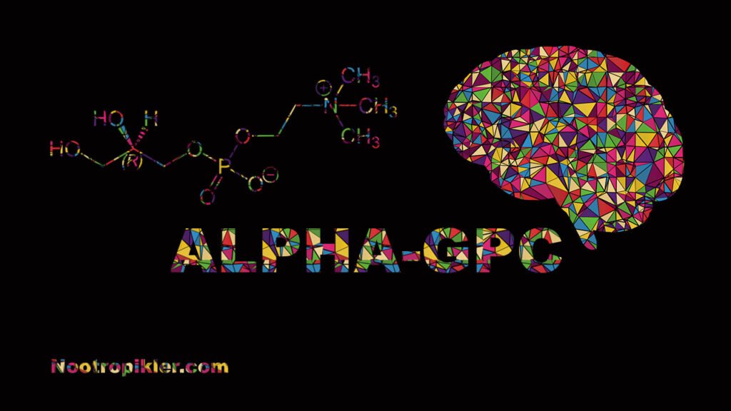 Alpha-GPC Nedir?
