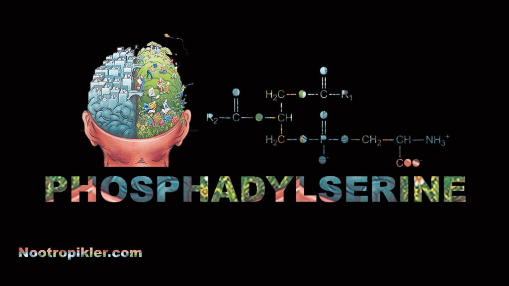 Phosphadylserine nedir?